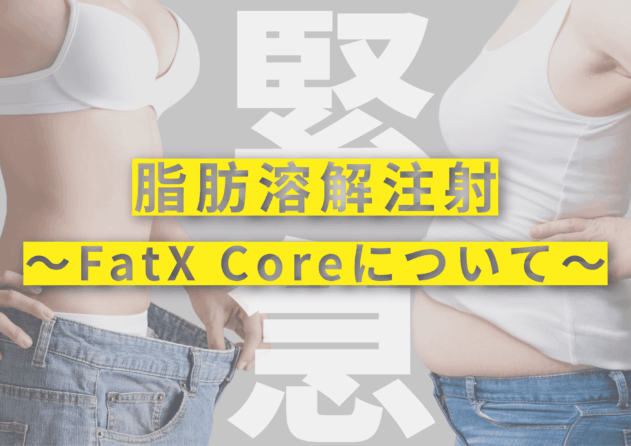 脂肪溶解注射-1 (1)